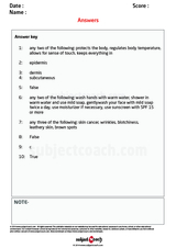 free year 8 science worksheets